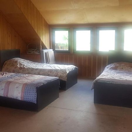 Hostel The Misty Mountains 梅斯蒂亚 外观 照片