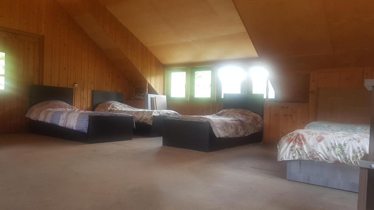 Hostel The Misty Mountains 梅斯蒂亚 外观 照片