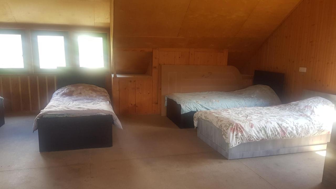 Hostel The Misty Mountains 梅斯蒂亚 外观 照片