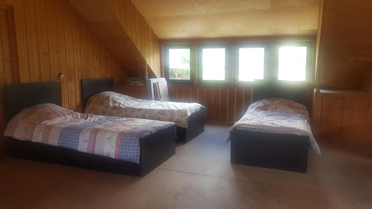 Hostel The Misty Mountains 梅斯蒂亚 外观 照片