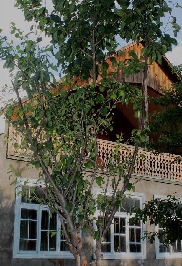 Hostel The Misty Mountains 梅斯蒂亚 外观 照片