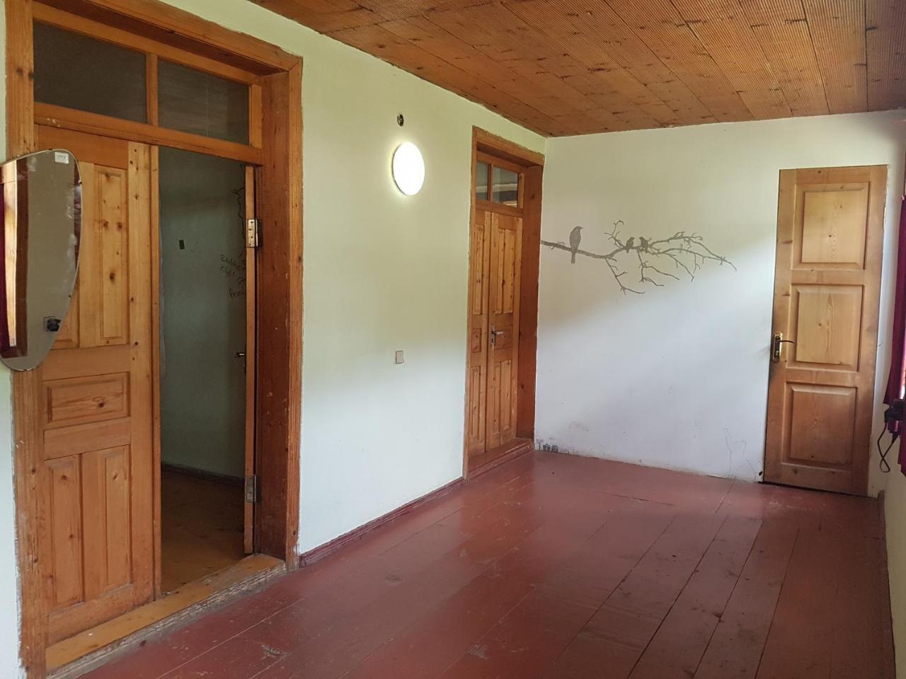 Hostel The Misty Mountains 梅斯蒂亚 外观 照片