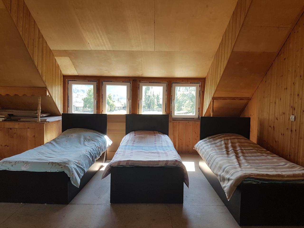 Hostel The Misty Mountains 梅斯蒂亚 外观 照片