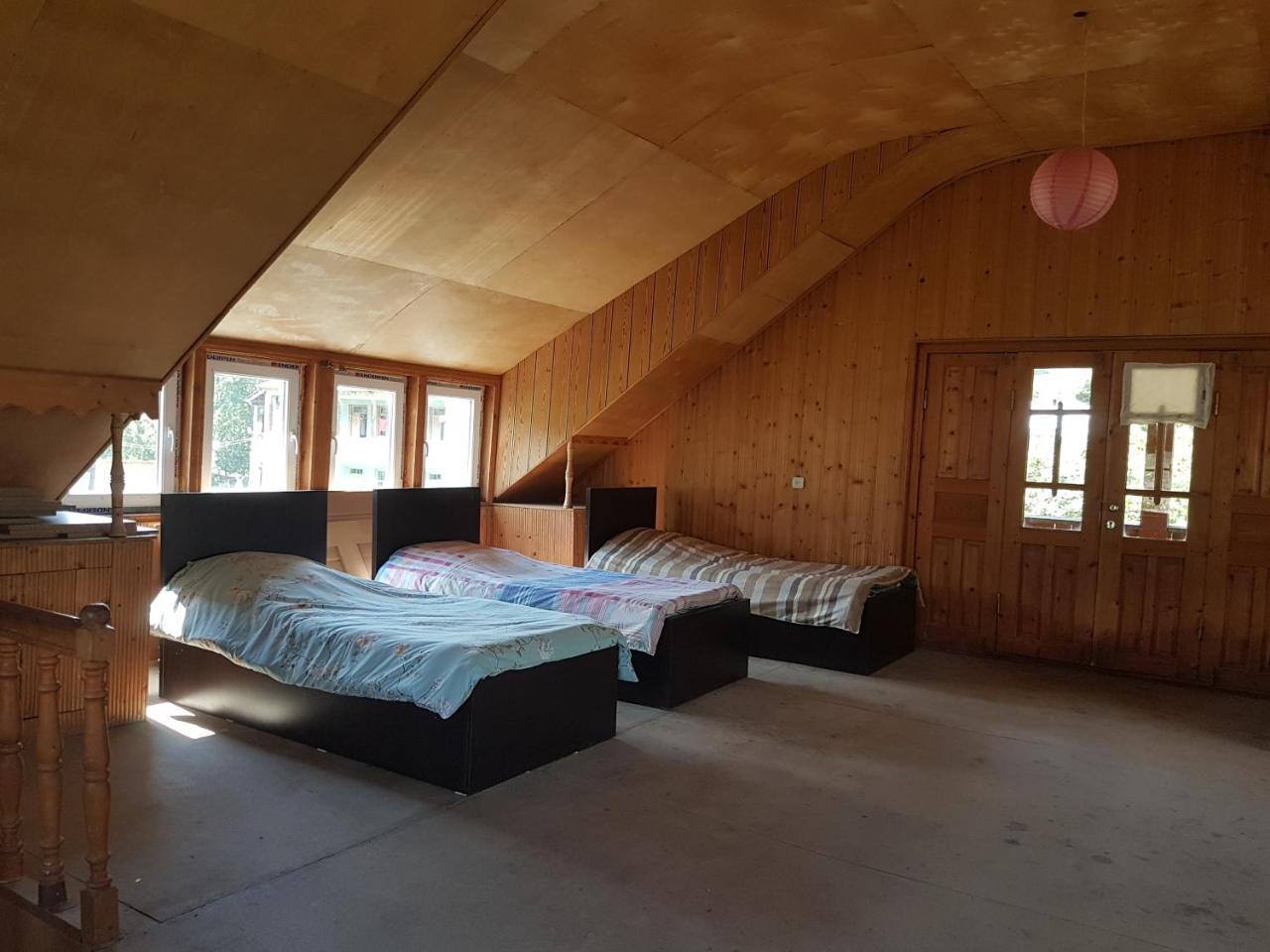 Hostel The Misty Mountains 梅斯蒂亚 外观 照片