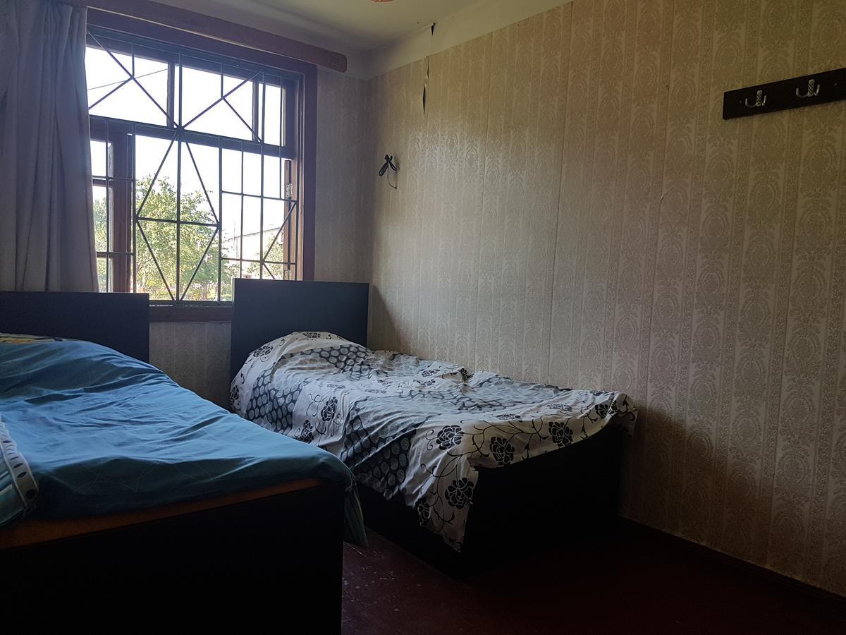 Hostel The Misty Mountains 梅斯蒂亚 外观 照片